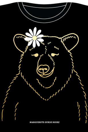 Marguerite ourse noire - Cliquez sur l'image pour la fermer